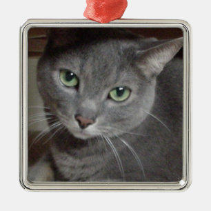 Grijze kat Russisch Blauw Metalen Ornament