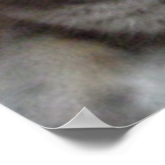 Grijze kat Russisch Blauw Poster (Hoek)