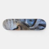 Grijze kat skateboard (Horizontaal)