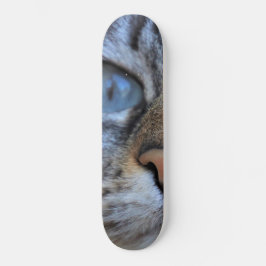 Grijze kat skateboard