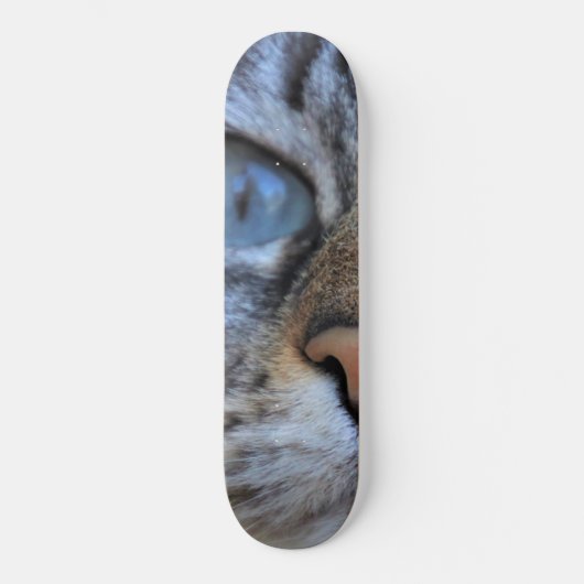 Grijze kat skateboard (Voorkant)
