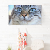 Grijze kat spandoek (Insitu)