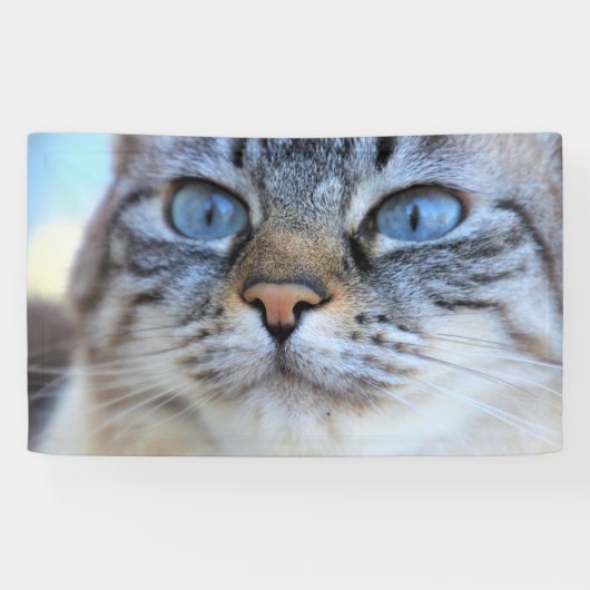 Grijze kat spandoek (Horizontaal)