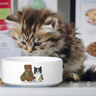 Grijze Kat Teddytbeer Perzik Grappig Voerbakje