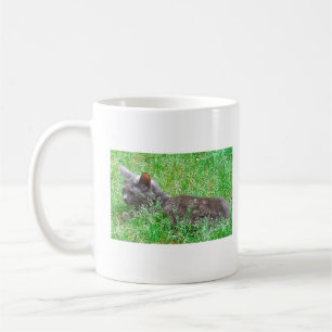Grijze Kat Tortie Koffiemok