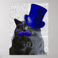 Grijze katje met blauw bovenste hak en blauwe snor