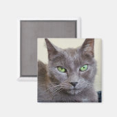 Grijze kattenmagneet magneet (Voorkant / Achterkant)