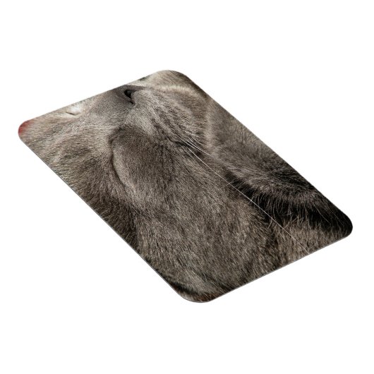 Grijze kattenmagneet magneet (Rechterzijde)