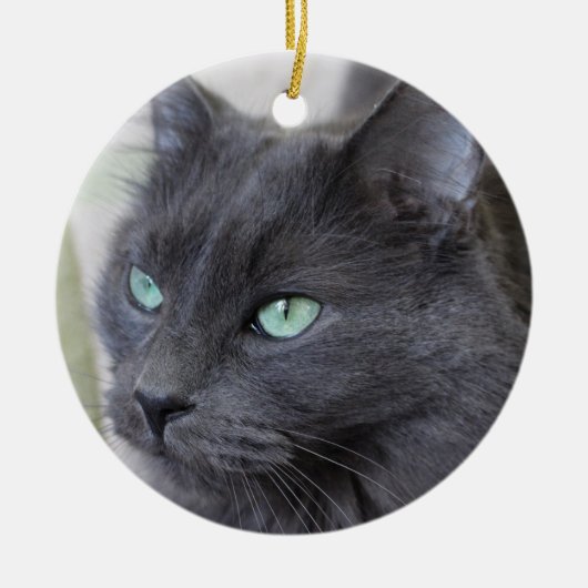 Grijze kattenversiering keramisch ornament (Voorkant)