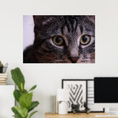 Grijze Kitten Face 2 Poster (Thuiskantoor)