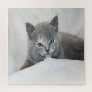 Grijze kitten likt sneeuw legpuzzel