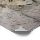Grijze kittenposter poster (Hoek)
