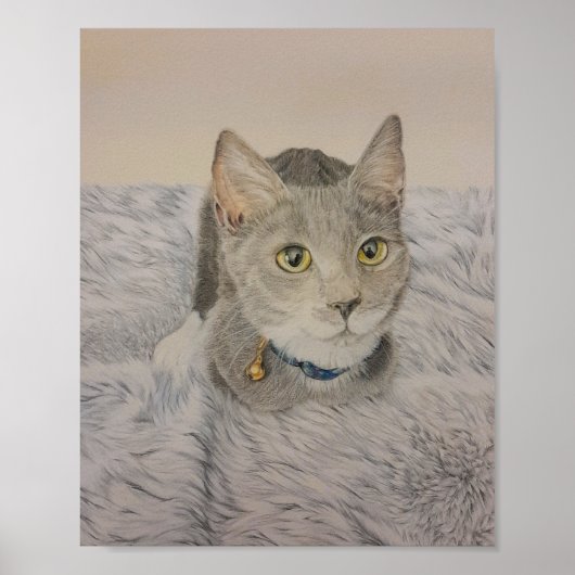 Grijze kittenposter poster (Voorkant)