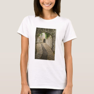 Grijze klinkerstraat, Frankrijk T-shirt