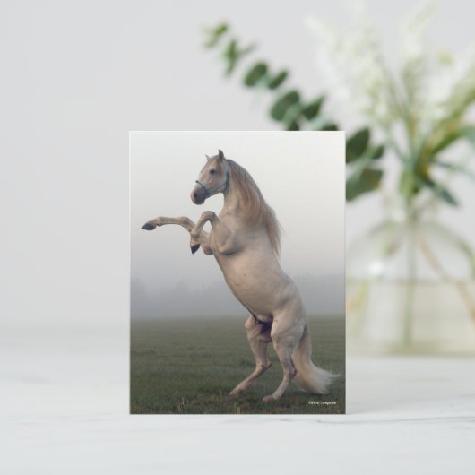 Grijze leeuwenkwekerij in de glazen mist briefkaart (Staand voorkant)