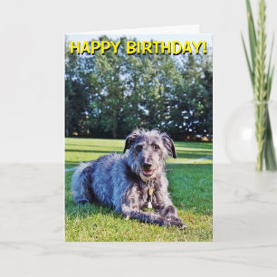 Grijze lurcher klantgerichte groetenkaart kaart