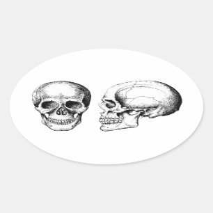 Grijze menselijke schedels kant ovale sticker
