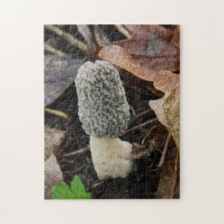 Grijze Morel Paddenstoel Legpuzzel