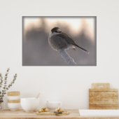 grijze munt 2 poster (Keuken)