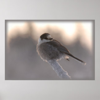 grijze munt 2 poster