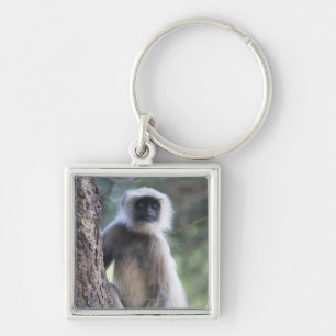 Grijze of gewone of Hanuman langur Sleutelhanger