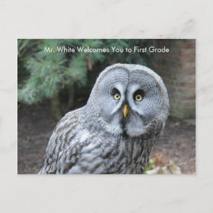 Grijze Owl Welkomststudenten Aangepast Briefkaart