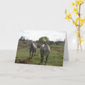 Grijze paarden kaart (Gele Bloem)