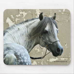 Grijze paarden muismat