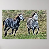 Grijze paarden poster (Voorkant)