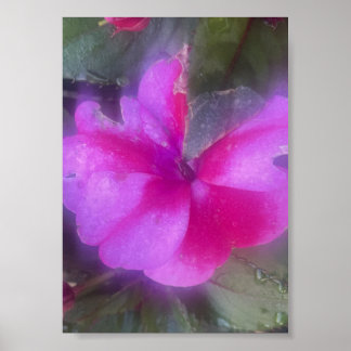 grijze paarse bloemenposter poster