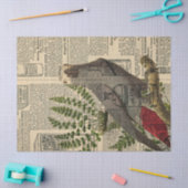 Grijze papegaai op ontkoppeling van catalogus tissuepapier (Craft)