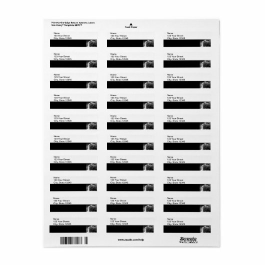 Grijze Perzische Kat op Zwarte Rand Etiket (Full Sheet)