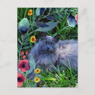 Grijze pluizige kat in tuin met bloemen briefkaart