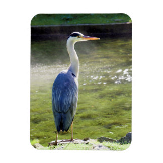 Grijze reiger Flexibele Fotomagneet #3 Magneet