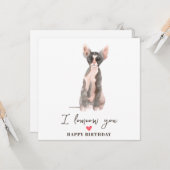 Grijze roze lynx kat kaart (Voorkant / Achterkant in situ)