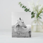 Grijze schilfers op pasta briefkaart (Staand voorkant)