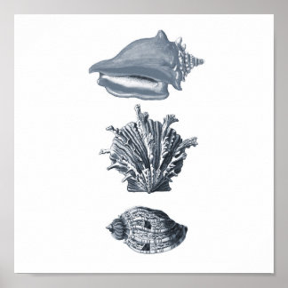 Grijze seizoenshellen strandafdruk #8 poster