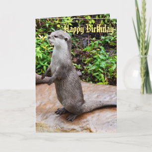Grijze Staande Otter Gefeliciteerd Kaart