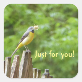 Grijze staart vierkante sticker