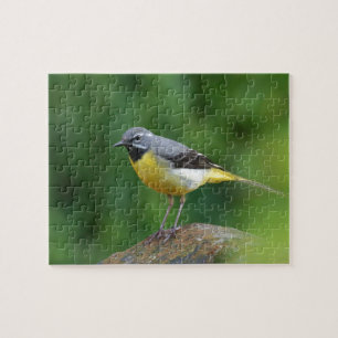 Grijze staart - vogel legpuzzel