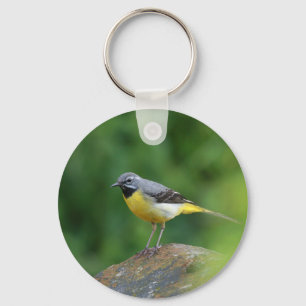 Grijze staart - vogel sleutelhanger