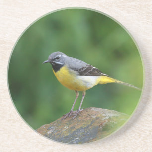 Grijze staart - vogel zandsteen onderzetter