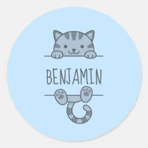 Grijze Tabby Cat Peking achter Custom Name Blue Ronde Sticker