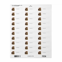 Grijze tabby kat adresetiketten