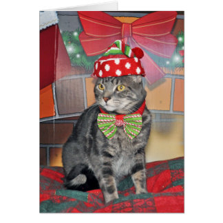 Grijze tabby kat kerstkaart