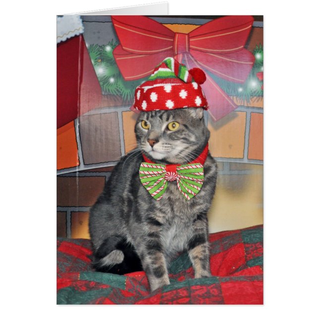Grijze tabby kat kerstkaart (Voorkant)