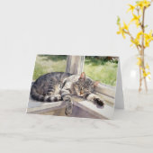 Grijze Tabby Kat Studie C In Waterverf Kaart (Gele Bloem)