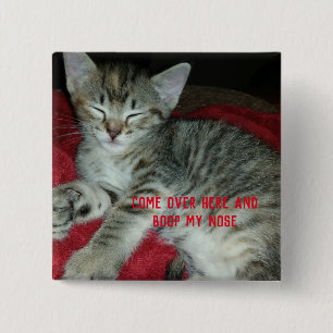 Grijze tabby katje boop mijn neus vierkante button 5,1 cm
