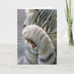 Grijze tabby poes wordt ouder humor kaart