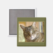 Grijze tablet Sluiten Foto Magneet (Voorkant / Achterkant)